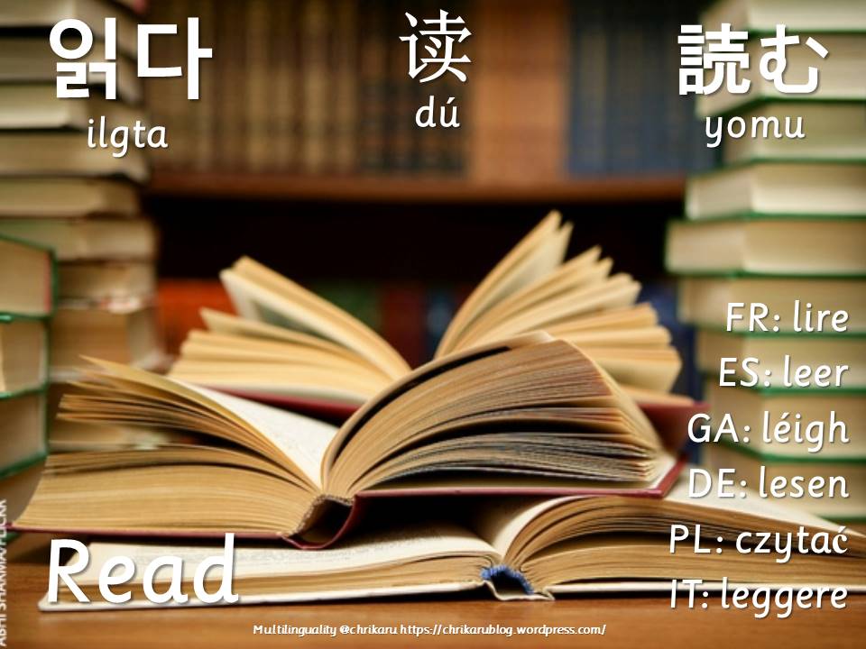multilingual flashcards read