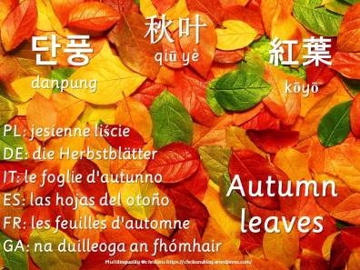 multilingual flashcards autumnleaves